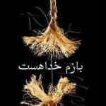 Profile Pic Profile Pic